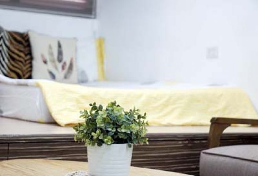 室内放盆栽可改善空气品质 研究：PM2.5浓度差1.49倍