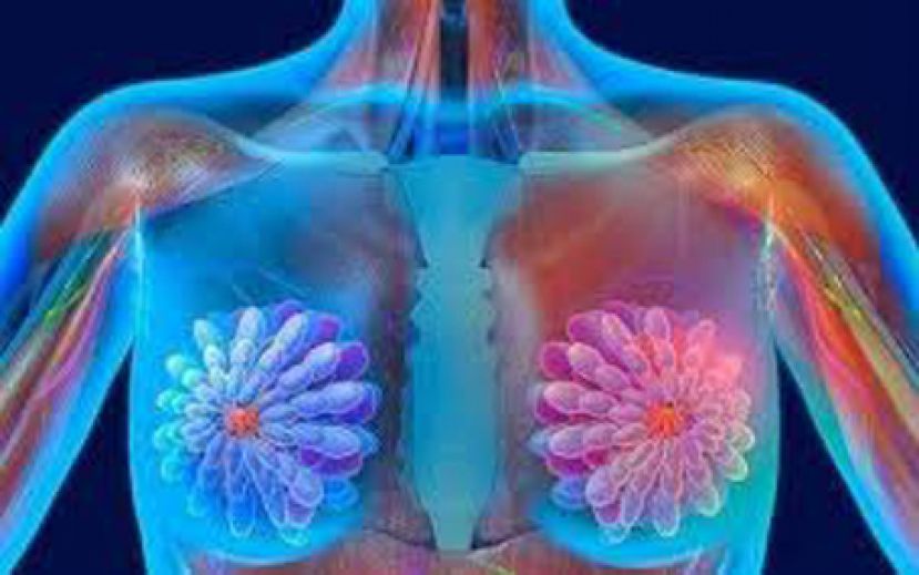 33岁乳癌肝转移 CDK46助肿瘤缩减七成