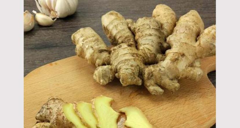 老姜收成期长令姜辣素增加 驱寒辟腥烹调最好