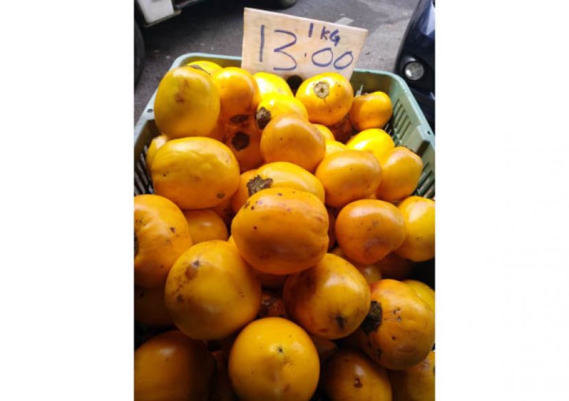 黃澄澄的&ldquo;拉仔茄&rdquo;。