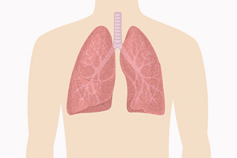 二方法看出你肺功能好坏 医师让肺变好的秘诀