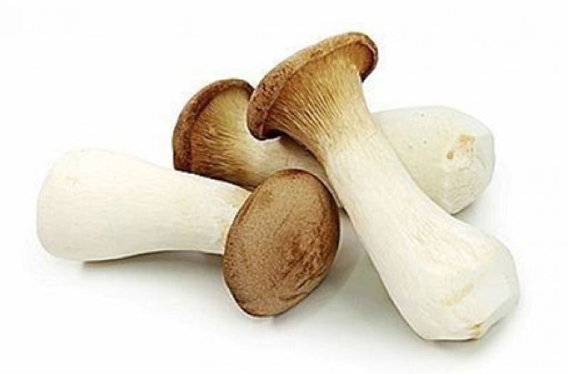 杏鲍菇促减肥改善脂肪肝 但两种人少吃