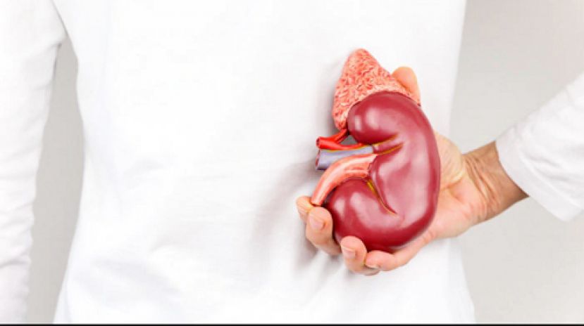 恐急性肾衰竭 运动过度深色尿快就医