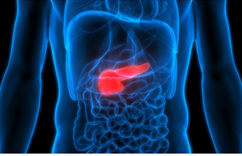 &ldquo;癌症之王&rdquo;胰脏癌夺命快 六症状不可忽视