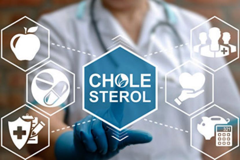 好坏胆固醇知多少？医师破解3迷思