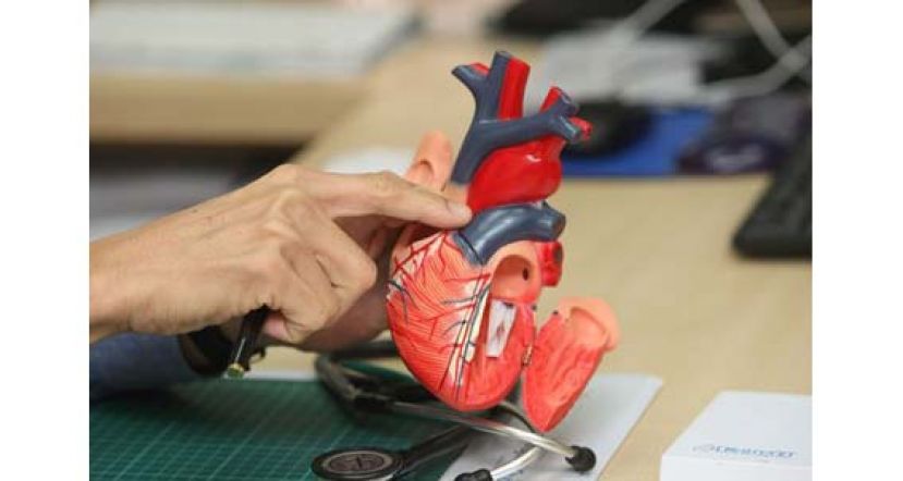 高以翔让人重新看见&ldquo;猝死危机&rdquo;　3大高风险群可考虑植入式去颤器预防