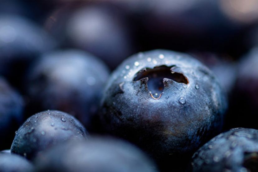 多吃10种健脑食物 麦得饮食让大脑年轻7岁