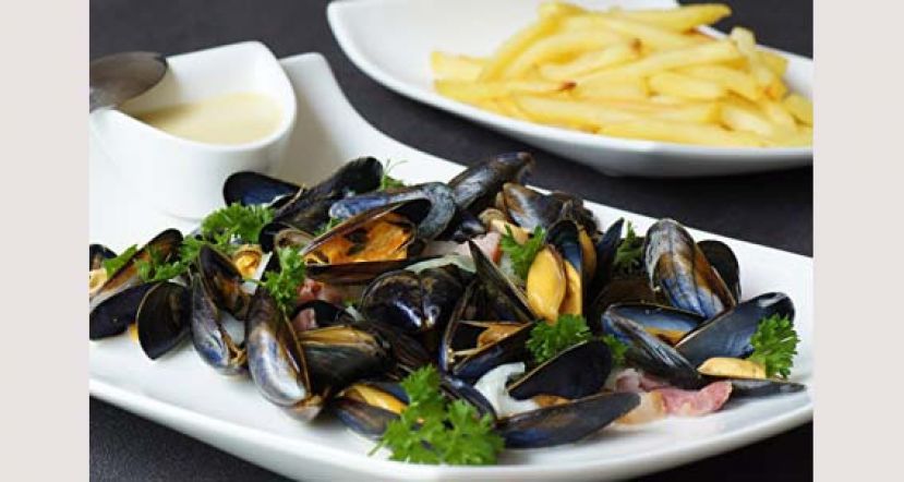 来自大海的美味 贝类安全料理指南