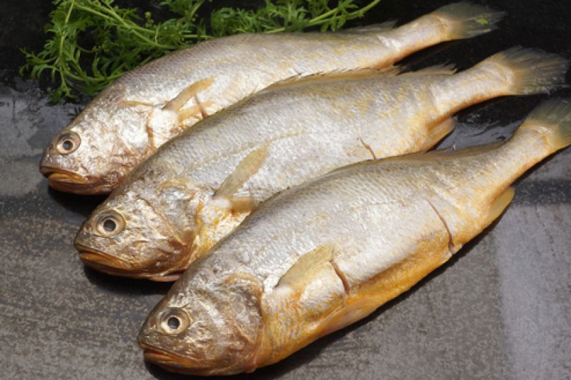 图示：黄花鱼是Omega 3之冠。