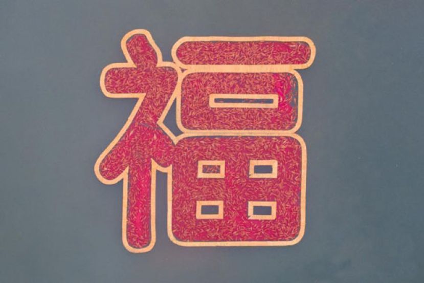 6666尾鲤鱼拼成巨大&ldquo;福&rdquo;字