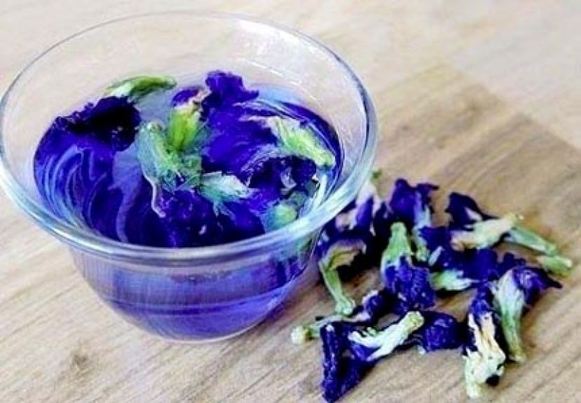 蝶豆花具有抗凝血效果 这些人不宜喝