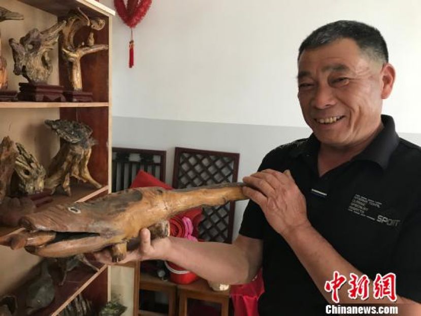 陈春祥举起一条张着嘴巴的&ldquo;鳄鱼&rdquo;，嘴巴里还叼着一条小鱼。