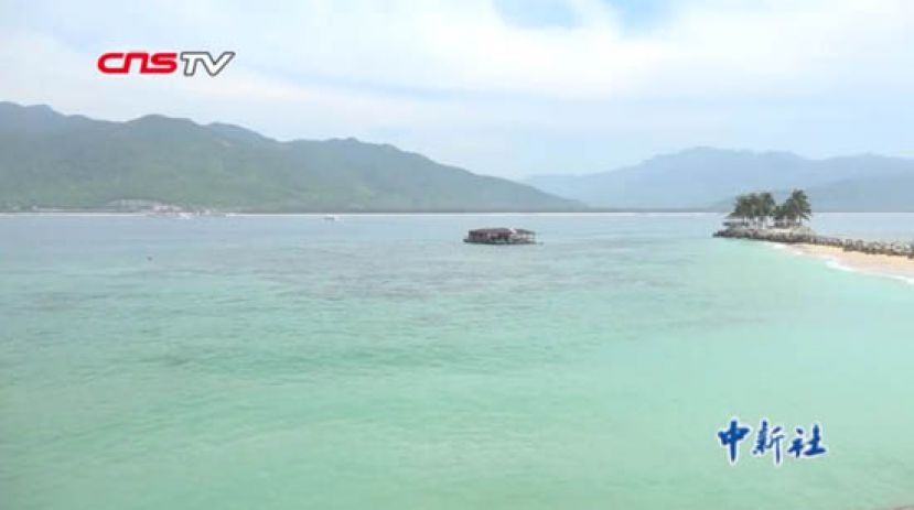 海南：十年珊瑚保育 再现美丽&ldquo;海底世界&rdquo;