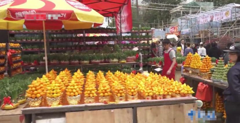 香港年宵花市开锣  人山人海年味十足