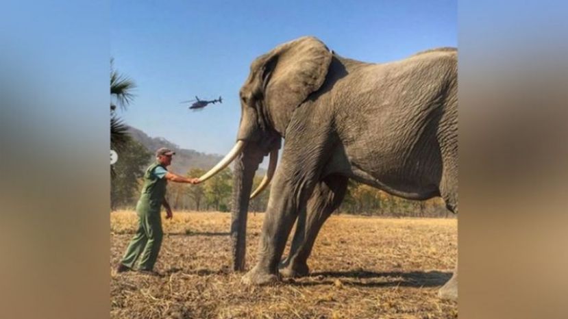 哈里贴的这图引发与《星期日邮报》的纠纷。