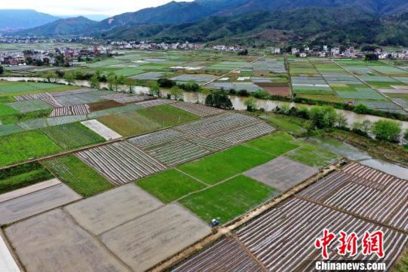 图示：福建省龙岩市连城县北团镇翻耕后的水田。