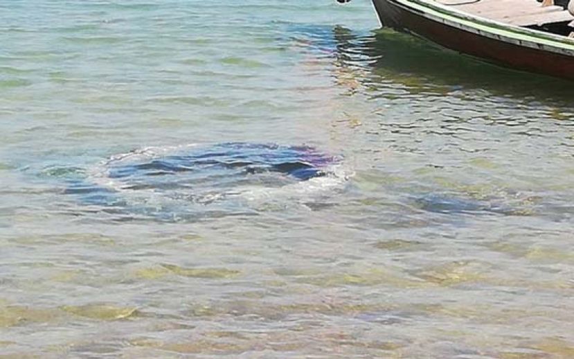 白天涨潮时，泉眼被海水淹没在水下深达1米。