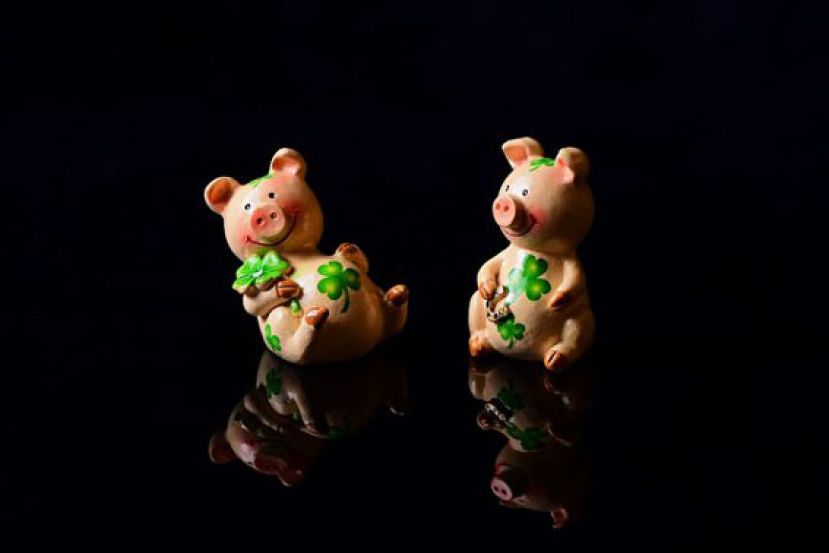 图示：猪的谚语说智慧。猪年结善缘！诸事大吉！