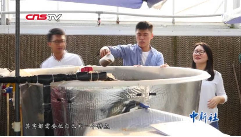 三个香港高材生毕业后赴广东种地 研究&ldquo;鱼菜共生&rdquo;