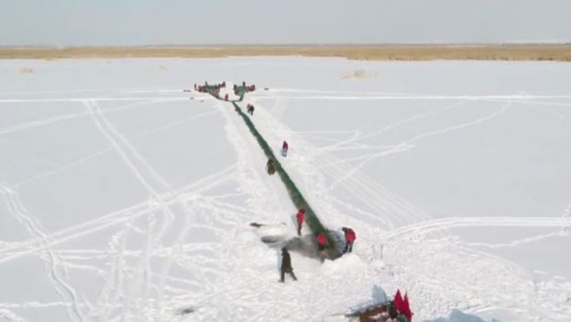 乌伦古湖渔民2公里大网捕鱼  捕大鱼放小鱼