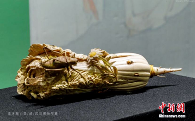 图示：象牙雕白菜（清）。