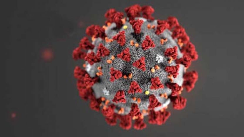 美国疾病控制与预防中心（CDC）公布的新型冠状病例肺炎（2019-nCoV）印象图。