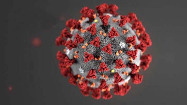 美国疾病控制与预防中心（CDC）公布的新型冠状病例肺炎（2019-nCoV）印象图。