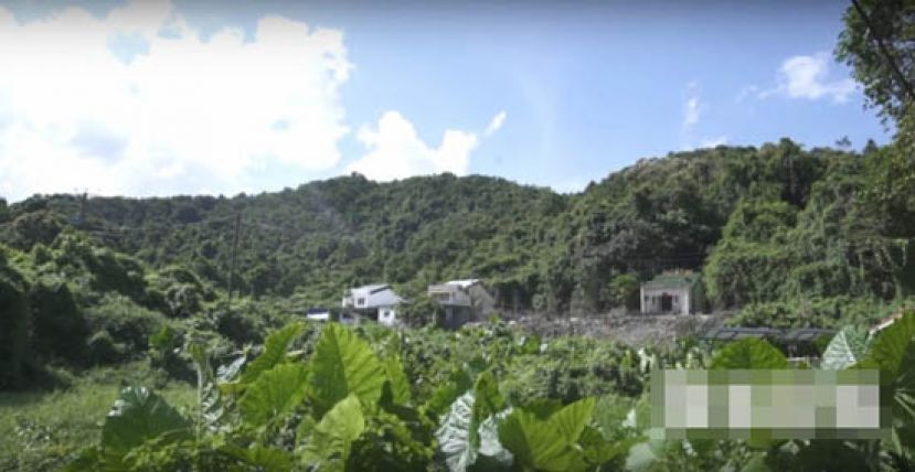 三桠村，庆春约客家七村之一，据称早年曾有300多名居民，现只剩一户长住。