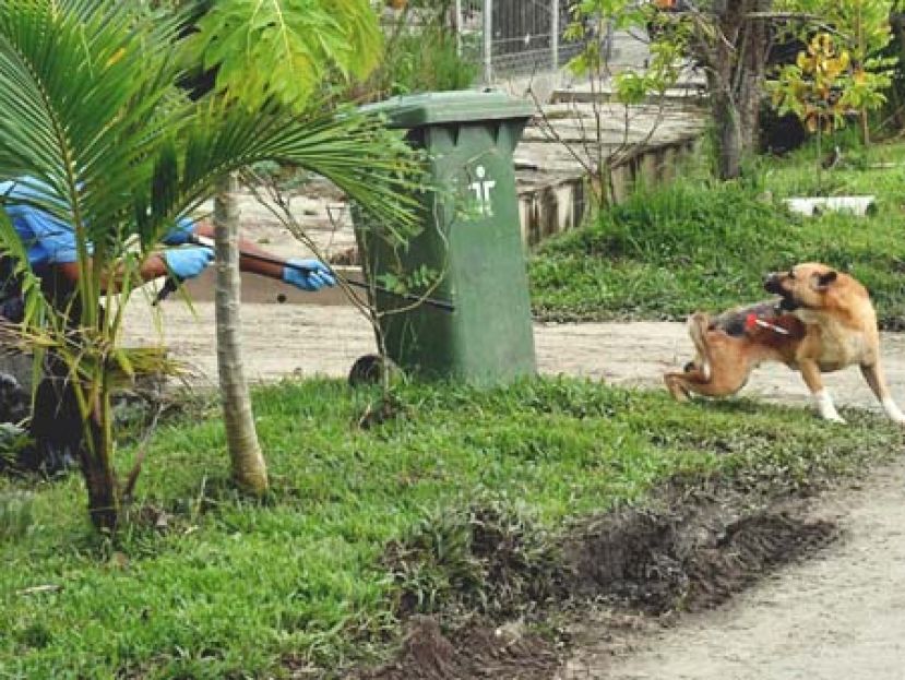 被两只狗抓伤而感染狂犬病的26岁古晋男子，周五早上9时15分病逝。