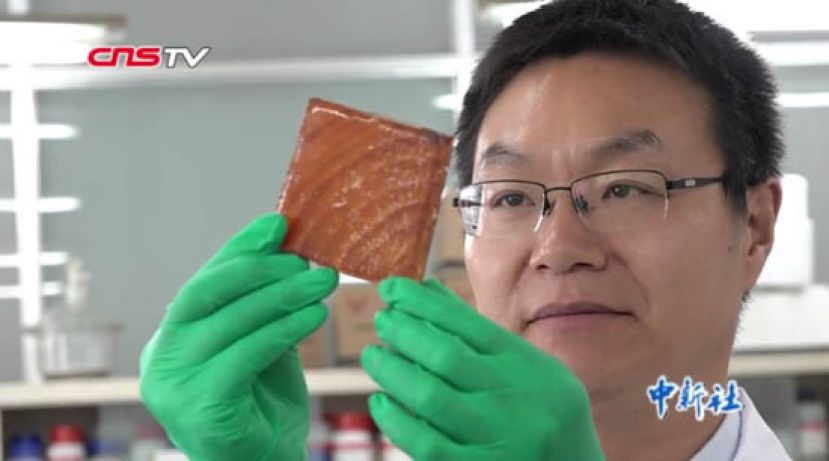 云南高校教授用&ldquo;蒸饺&rdquo;方式研发&ldquo;透明木材&rdquo;
