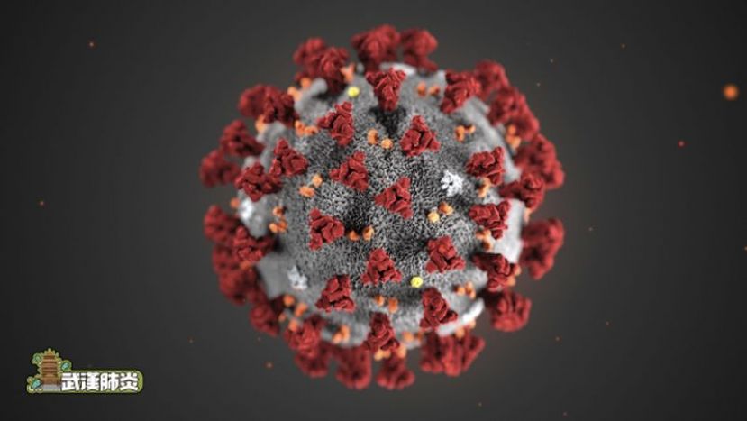 巴里认为，武汉肺炎的传播途俓并不像沙士或中东呼吸综合症，而更像流感。