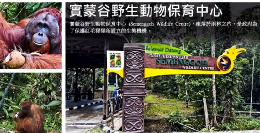 古晋蒙谷野生动物中心赢得2019马来西亚旅游局&ldquo;最佳野生动物金奖&rdquo;。