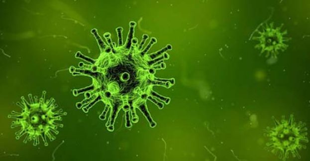 尼日利亚爆发&ldquo;神秘疾病&rdquo;。