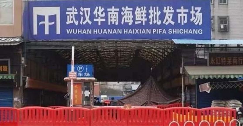 有指武汉华南海鲜批发市场并非病毒的源头。