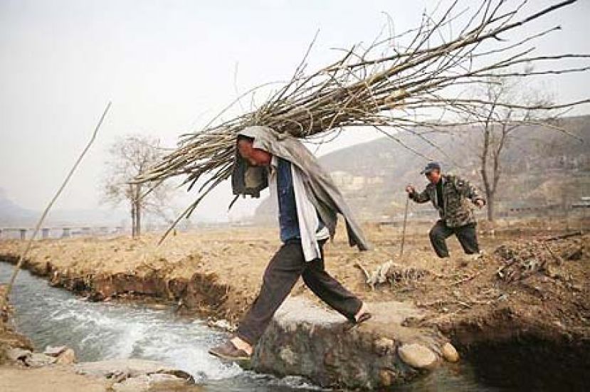 图示：井陉县冶里村残疾人贾文其和贾海霞老哥俩，互为手眼，开始他们的&ldquo;种树大计&rdquo;。 