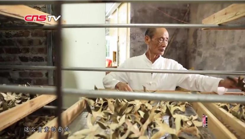 探访&ldquo;中华化橘红第一村&rdquo; 看老人制作&ldquo;一片千金&rdquo;的&ldquo;七爪&rdquo;