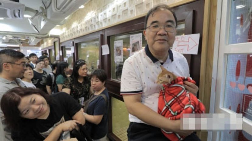 叶沃达Alex是全港最大宠物售卖品牌、旗下共有45间&ldquo;Q-pets&rdquo;和&ldquo;红萝卜&rdquo;宠物店的创办人，今年6月起，他推动品牌成为香港首间取消猫狗买卖，并腾出橱窗办领养活动的宠物店。