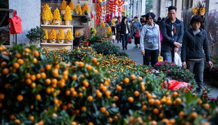 澳门年宵市场见闻：年桔、年花、年菜里&ldquo;年味儿&rdquo;