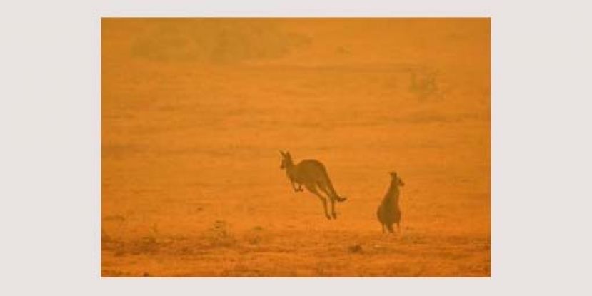 欧盟气候机构：2020年1月全球气温再达史上最热