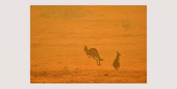 欧盟气候机构：2020年1月全球气温再达史上最热