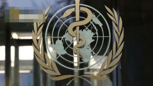 世卫：现时疫情未算&ldquo;大流行&rdquo; 无证据显示病毒有变异