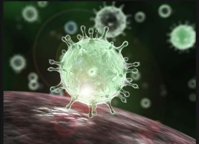 新型冠状病毒（武汉肺炎）显微图。