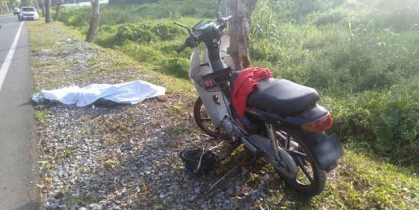 16岁华裔少年撞树伤重死亡，尸体白布覆盖。