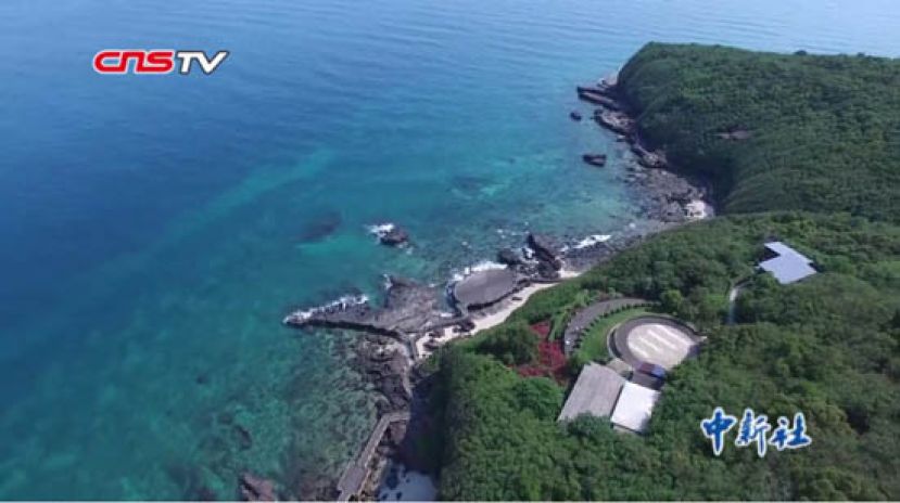 探秘广西涠洲岛上的珊瑚保育人：希望为保护海洋生态环境出一份力