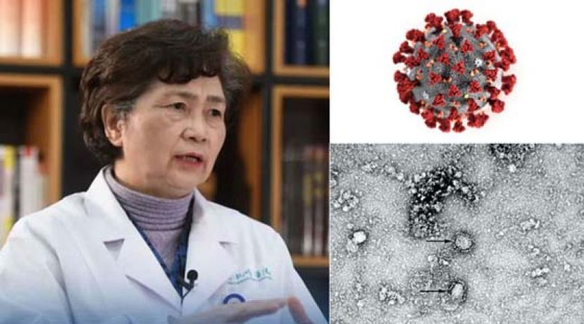 中国传染病学专家李兰娟。