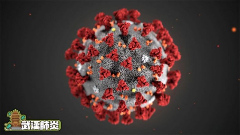 德专家：传染性不及麻疹 口罩非必需