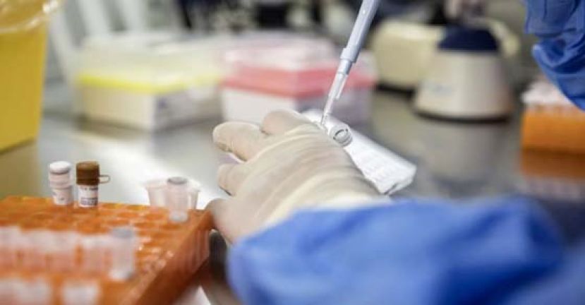英国卡迪夫大学研究团队发现T细胞有消灭多种癌症的潜力。（示意图）