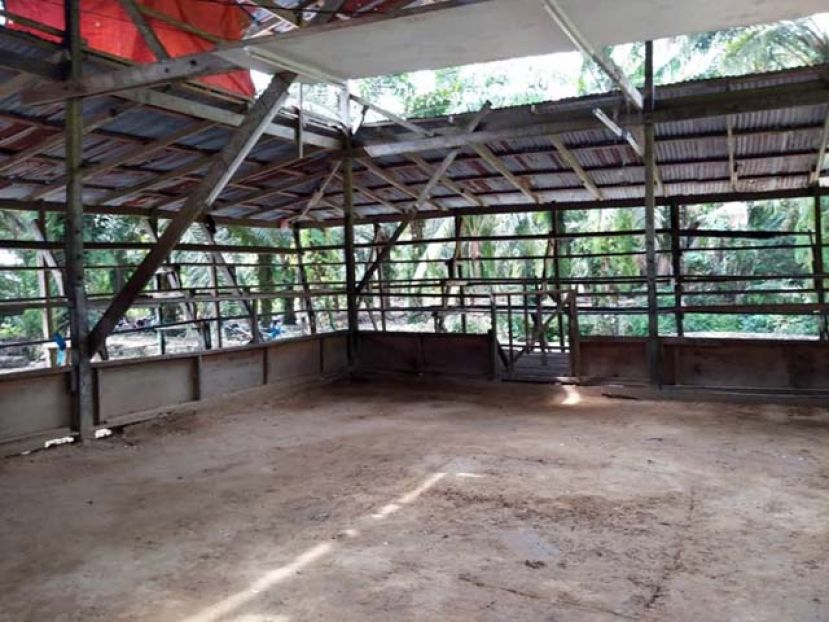 遭警方捣毁的非法斗鸡场。