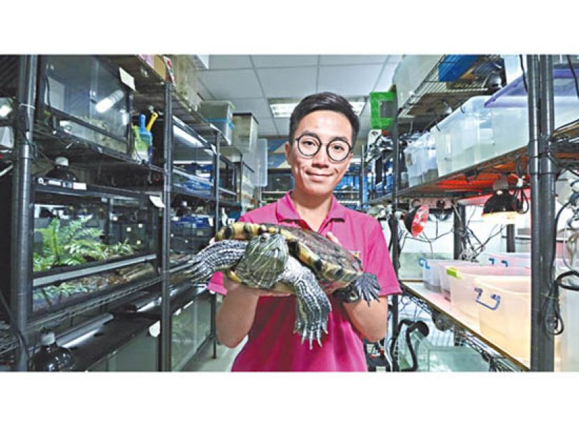 香港两栖及爬虫协会动物福利部义工黄朗研（Victor）。