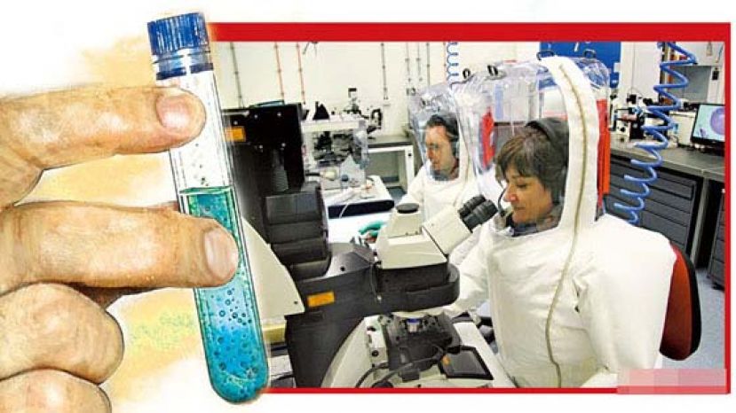 台湾为全球第4个成功分离出武汉肺炎病毒株的国家，有助研制疫苗。图为澳洲实验室培育病毒株。